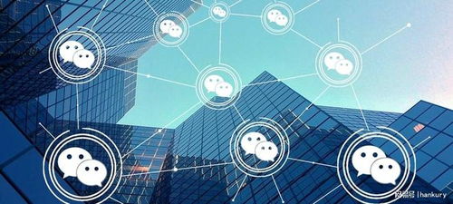 技術創新驅動未來 永陽網絡如何讓小程序成為企業增長新引擎