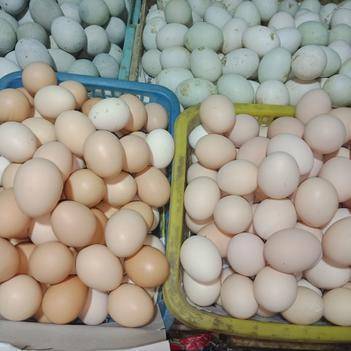 農(nóng)產(chǎn)品批發(fā)供應(yīng)商徐國忠——惠農(nóng)網(wǎng)電腦版食用農(nóng)產(chǎn)品批發(fā)服務(wù)