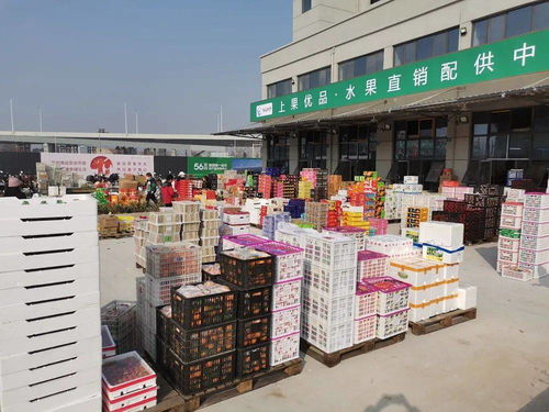 海吉星農產品物流園盛大開業 安慶“菜籃子”升級，農產品流通邁入新時代